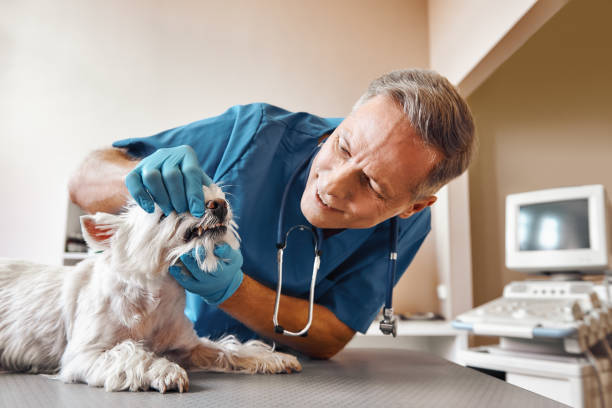 Best Emergency Tooth Extraction in Northfield, OH